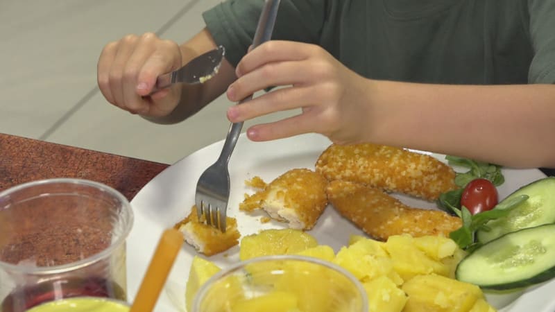 Prázdniny bez vaření: Restaurace nabízejí i speciální jídla pro děti. Kolik za ně zaplatíte?