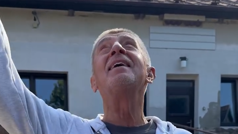 Normálně mě osr*l, sdílel Babiš video s ptákem. Úpadek kultury, hodnotí expert politické bizáry