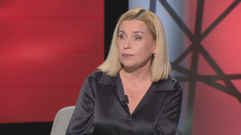 Dohoda s USA? Nerudová použila Klausův termín. Děsí mě slábnoucí pozice EU, říká Knotek