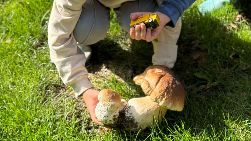 Šestiletý Oliver našel obrovský hřib. Byl jsem hrozně překvapený, neskrýval radost z úlovku