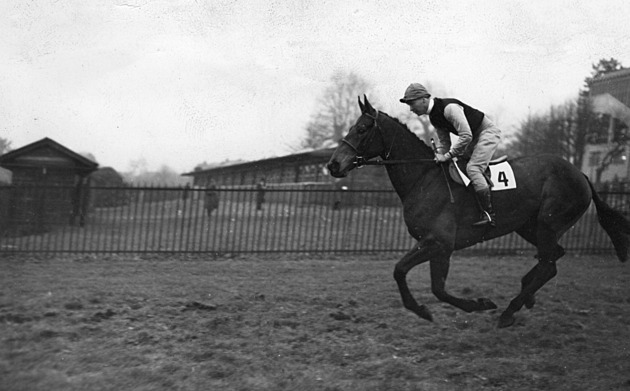 Fandila mu královna Alžběta, od její matky měl koně. Záhada z něj udělala spisovatele