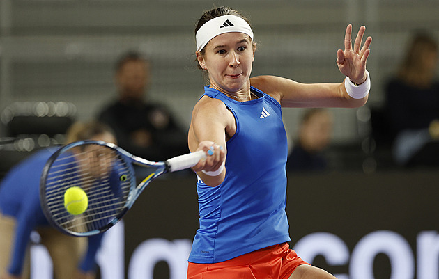 Tenis ONLINE: Pálova rozlučka, Bartůňková s Chorvatkou v boji o udržení prohrává