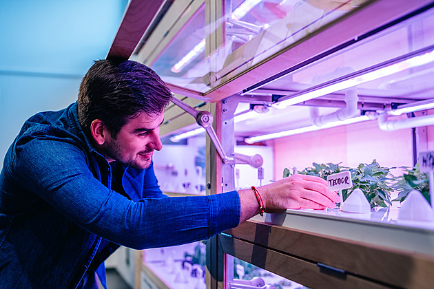 Hydroponické zahrady jsme zmenšili, teď dávají smysl pro školy, říká podnikatel