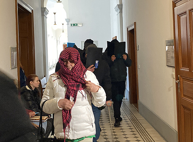 Štěně bylo apatické, museli jsme ho uspat. Poškození líčí byznys s nemocnými psy