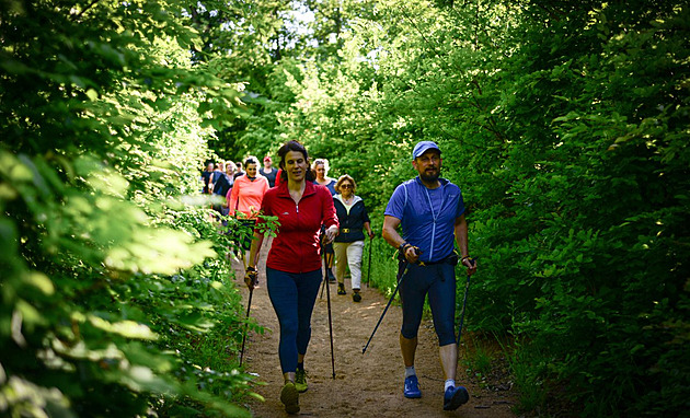 Les je skvělý terapeut, stačí pár minut a jste jiný člověk, vědí nejen Finové