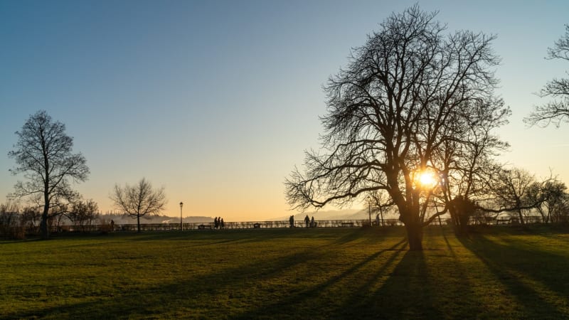 Kdy začíná jaro: Den už delší je, astronomie vidí Slunce jinde než horoskop