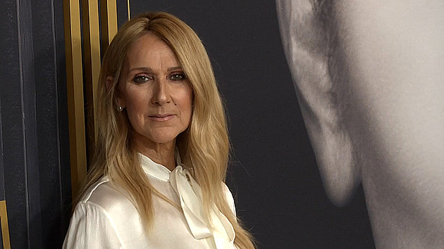 Koncerty a po letech zbrusu nová píseň. Poslechněte si, s čím přichází Céline Dion
