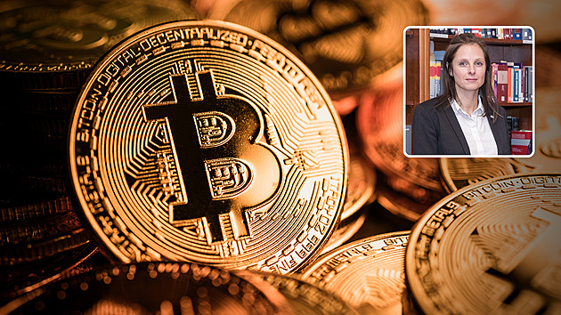 Bradáčová žádá přísnější trest pro žalobkyni Lastoveckou v bitcoinové kauze