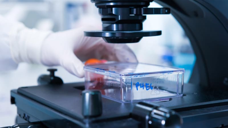 Naděje v boji s rakovinou: Vědci testují chytrý experimentální lék, první výsledky překvapily